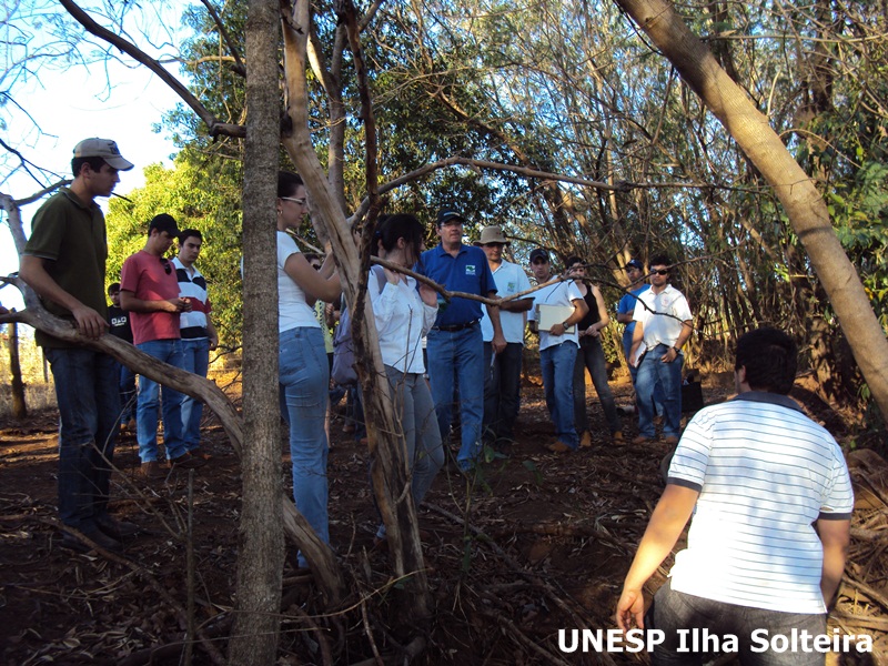 aula_15ago_2011 (21).JPG